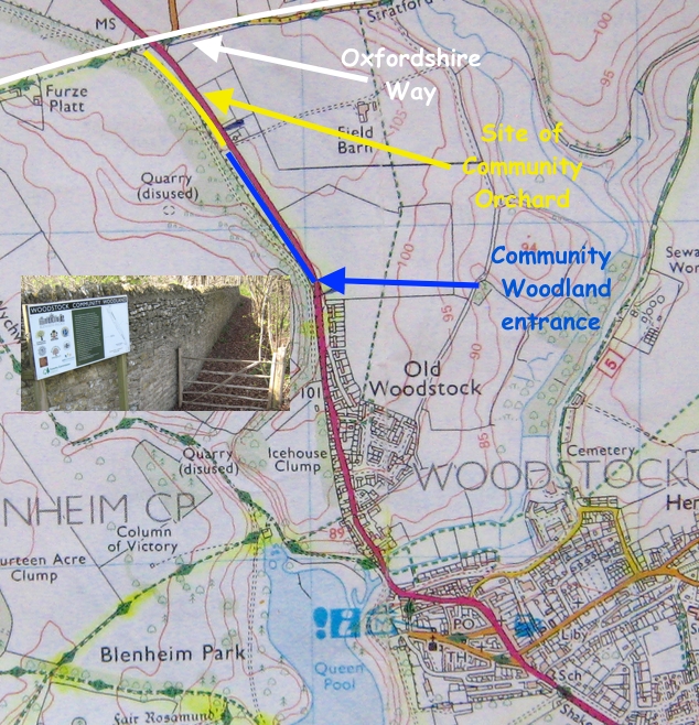 Map showing the location of Woodstock Community Woodland and Orchard